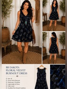 BB Dakota velvet burnout mini dress